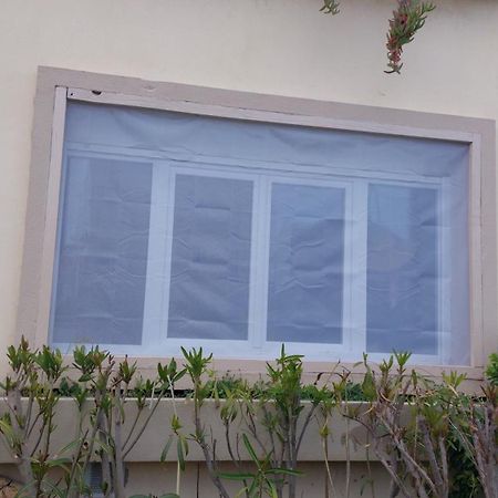 Appart T3 50M Plage Jardin Parking Palavas-les-Flots Dış mekan fotoğraf